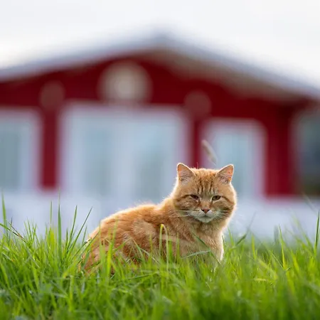 Domek letniskowy Osada Pstrąga *