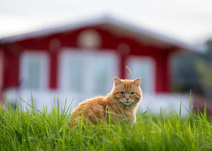 Lodge Osada Pstraga *